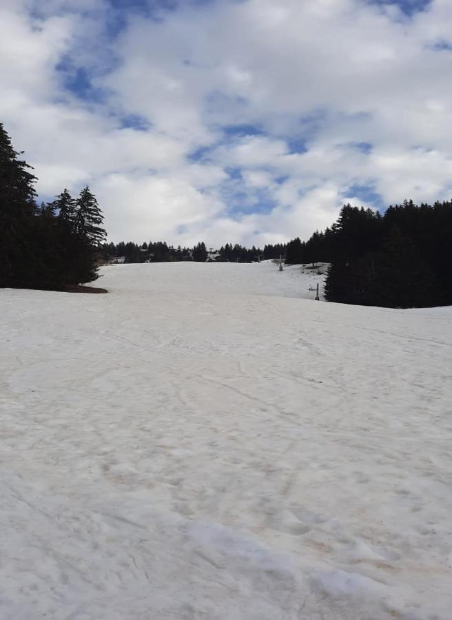 Le Calao - Appartement Au Val D'Arly Flumet Kültér fotó